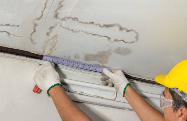 24/7 Emergency Structural Drying experts in Milledgeville, IL